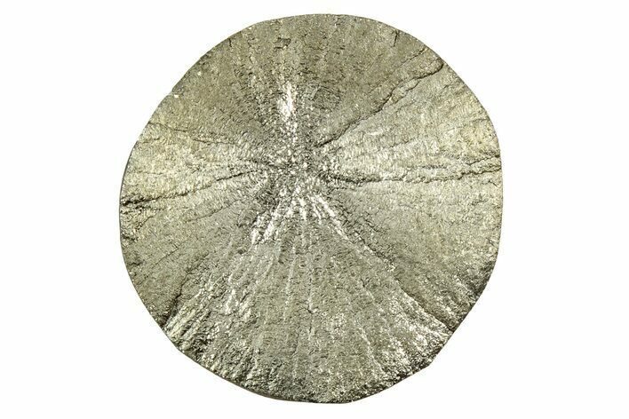 Radiant Pyrite Sun - Sparta, Illinois #342585